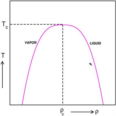 Coalescence preference dynamics for droplet growth during single-component fluid phase separation